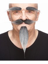 Pointed Facial Hair Kit Grey