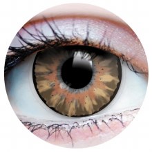 Primal Contacts Desire Hazel Brown
