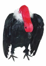 Vulture Prop 11in