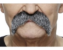 Thick Dark Grey Moustache