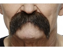 Thick Dark Brown Moustache