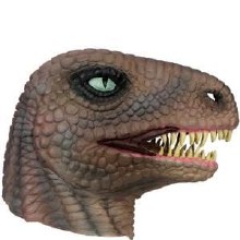 Mask Raptor