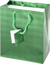 Gift Bag Med Holographic Grn