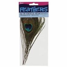 Peacock Feather 8in 2pk