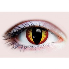 Primal Contacts Dragon