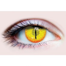 Primal Contacts Jurassic I