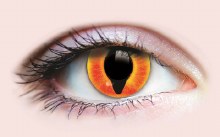 Primal Contacts Diablo