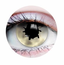 Primal Contacts Contagion