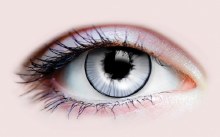 Primal Contacts Ghost