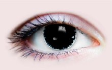 Primal Contacts Chaos