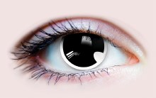 Primal Contacts Manga