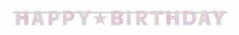 Bday Pinks Banner 8ft
