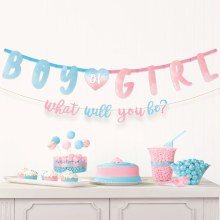 Gender Reveal Decor Banner Kit
