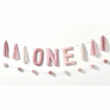 Little Miss One-Derful Banner