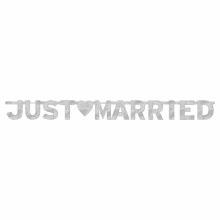 Just Married Banner Silver