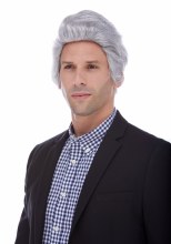 Wig Salesman Grey