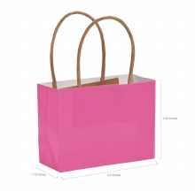 Craft Bags Mini Hot Pink 12pk