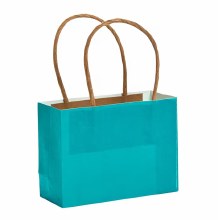 Craft Bags Mini Turquoise 12pk