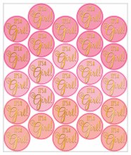 Baby Shower Girl Sticker Sheet