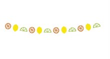 Garland Citrus Fruit 6ft