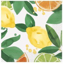 Citrus Fruit Lun Nap