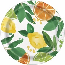 Citrus Fruit 9in Plt 8ct