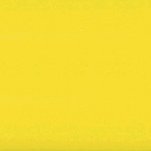 Gift Wrap Solid Sunshine Yello