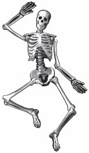 4' Skeleton Jointed Cutout