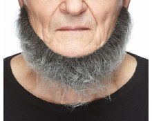 Beard Chin Grey