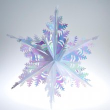 Snowflake Opal