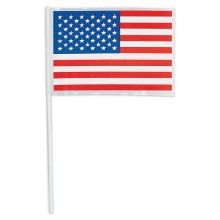 American Flag Plastic 48pk