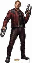 Star Lord Stand Up