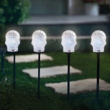 Skull LED Walkway