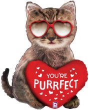 Cat, You're Purrfect Shape • Jumbo 26in. Mylar Helium Balloon