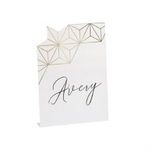 Modern Place Cards 6pk