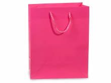Gift Bag Med Ht Pink
