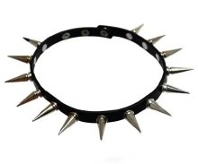 Spiked Collar