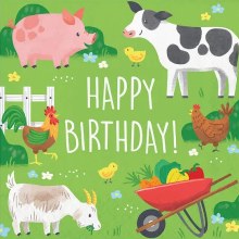 Farm Animals HB Lun Nap