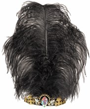 Tiara Vintage Jewel Feathered