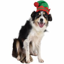 Pet Hat Elf  - XS/S