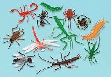 Insect Favors 12pk