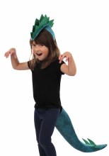 Dinosaur Stegasaurus Accessory Kit