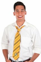 Tie Harry Potter Hufflepuff