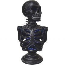 Skeleton Torso Light-up 12.5in