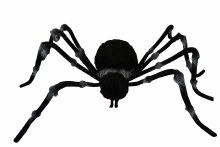 Giant 73in. Posable Spider