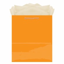 Gift Bag Medium Orange