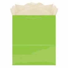 Gift Bag Medium Kiwi
