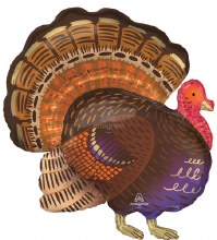MYLR OS Turkey Thankful 31"