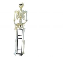 Skeleton 10ft Standing Titan
