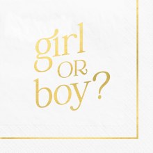 Girl or Boy Bev Napkin 16pk